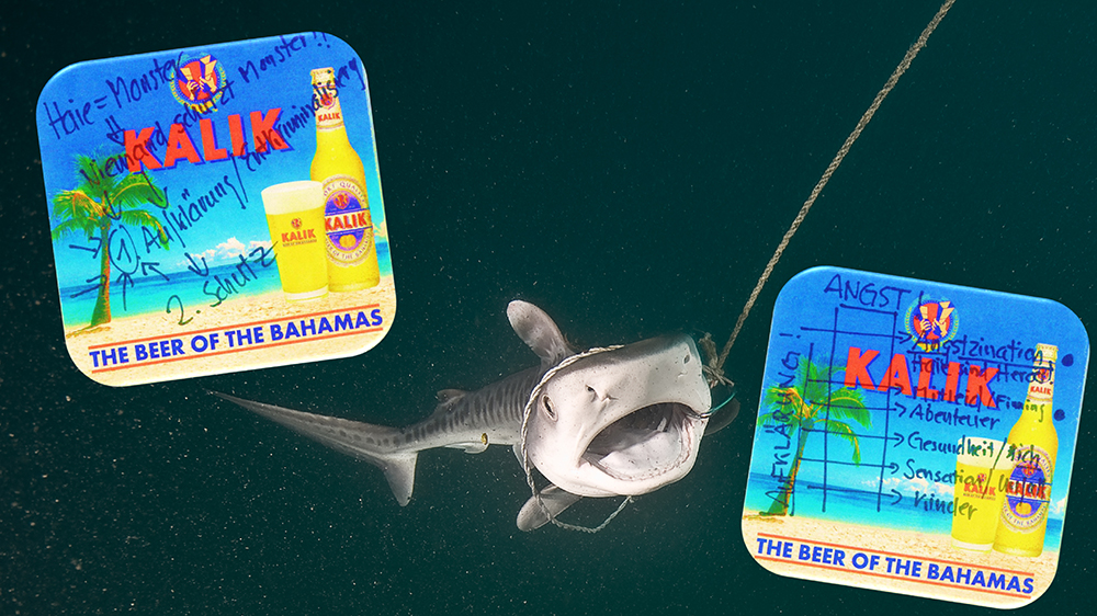 Die Originalidee von Sharkproject. Geschrieben auf Vorder- und Rückseite eines Bierdeckels.